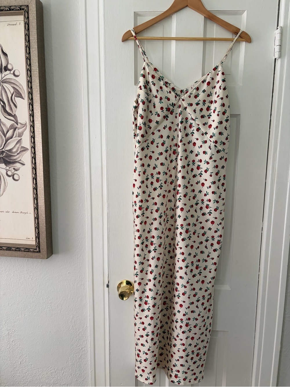 a new day Cream Maxi Dress with Red and Green Floral Print